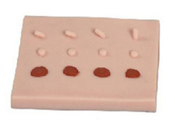 ZRLC-LV5-3表皮常見病變處理訓練模塊