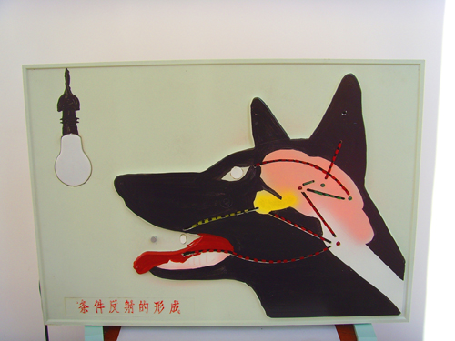 條件反射電動(dòng)模型